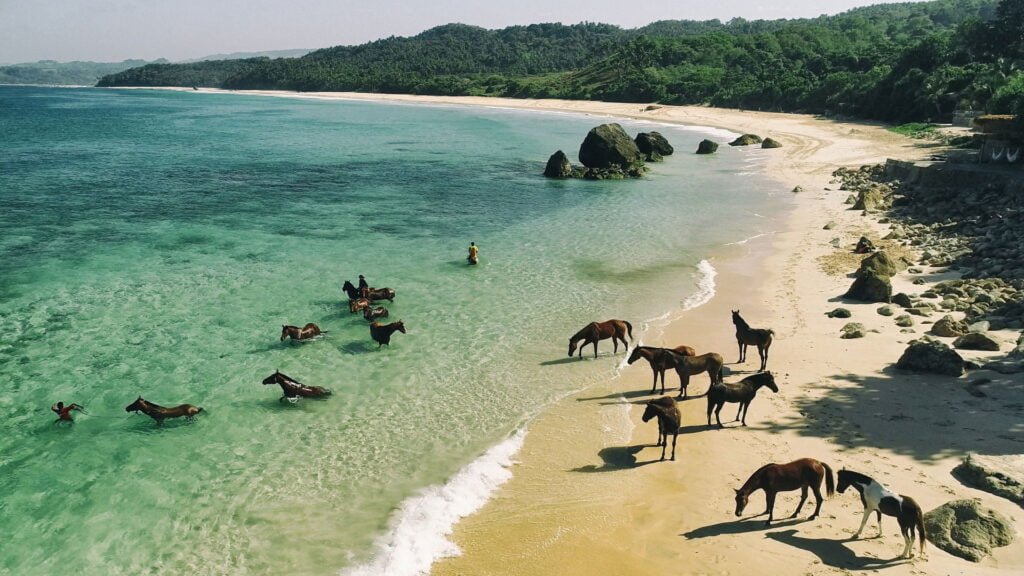 Tides of Change: How James McBride Created an Island Eco Paradise