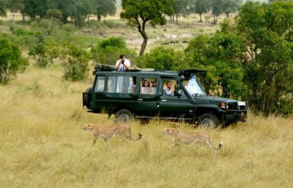 Photographing Zimbabwe: Unique Tour with Award-Winning Photographer Nick Murray