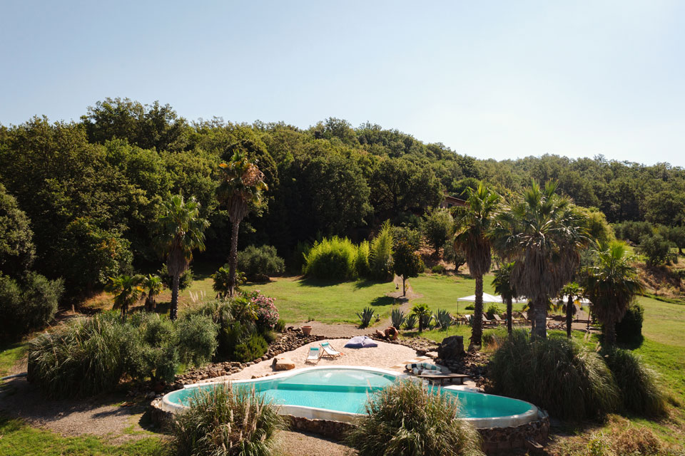 Infinity pool with panoramic views and forest-framed tranquility.