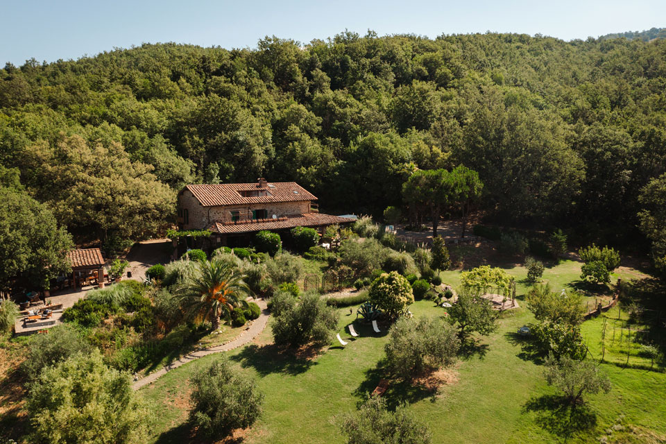 View of Monte Faete’s forested slopes and olive groves.