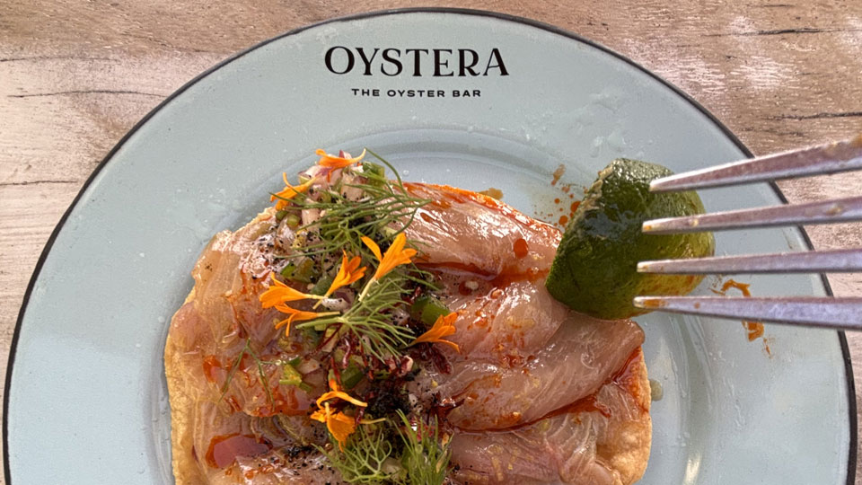 oystera