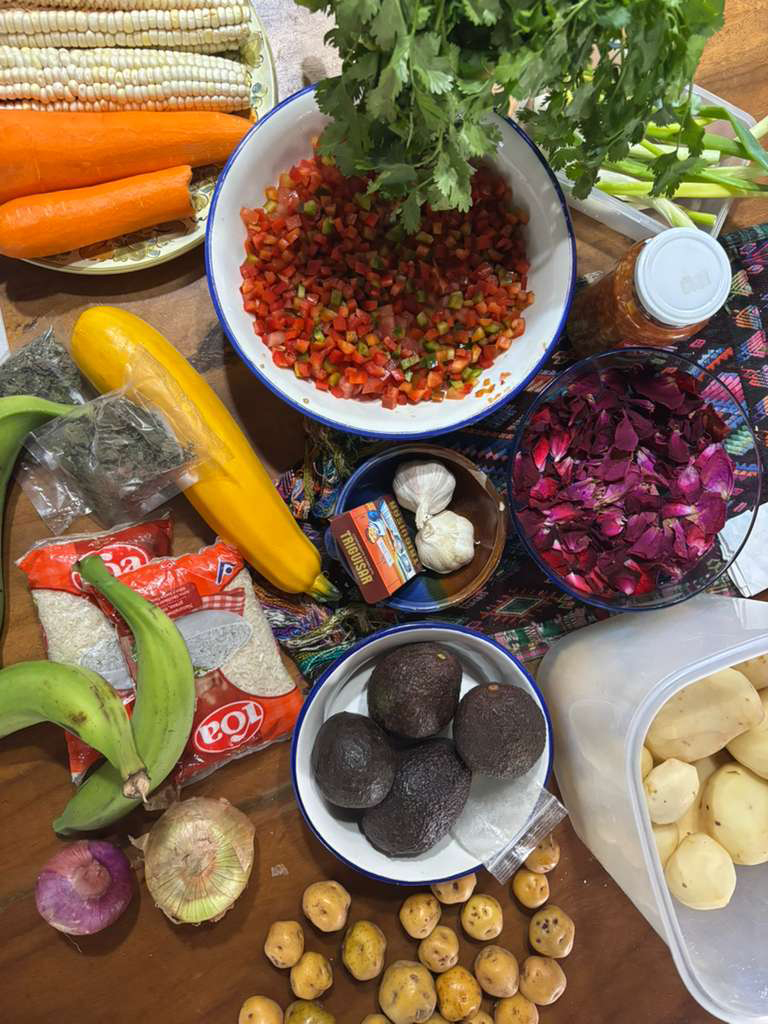 Casa de las Guacamayas — A Landscape of Color and Tradition