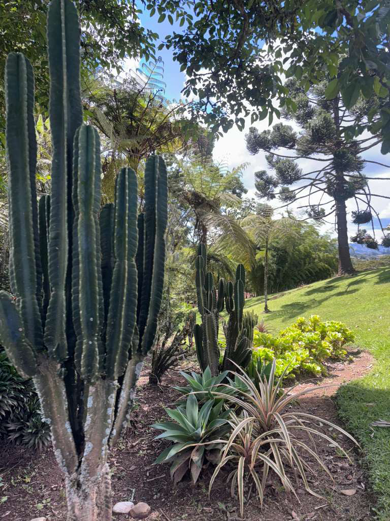 Claro de Luna — The Stable Stay in the Mountains