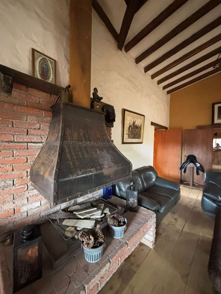 Ronda Equestrian — Where Discipline Meets Atmosphere