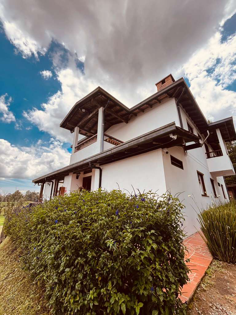 Ronda Equestrian — Where Discipline Meets Atmosphere