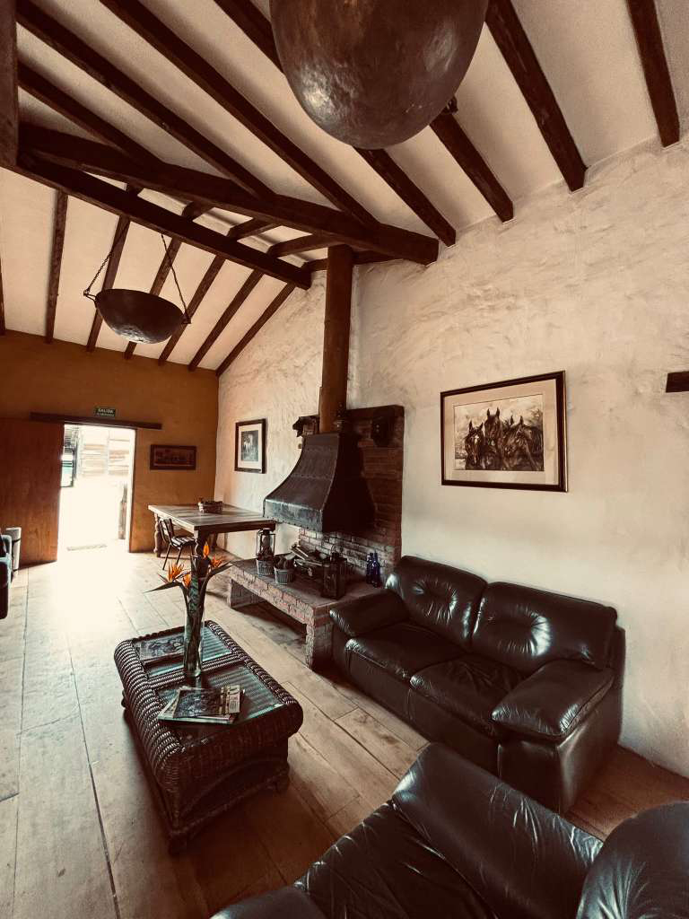 Ronda Equestrian — Where Discipline Meets Atmosphere