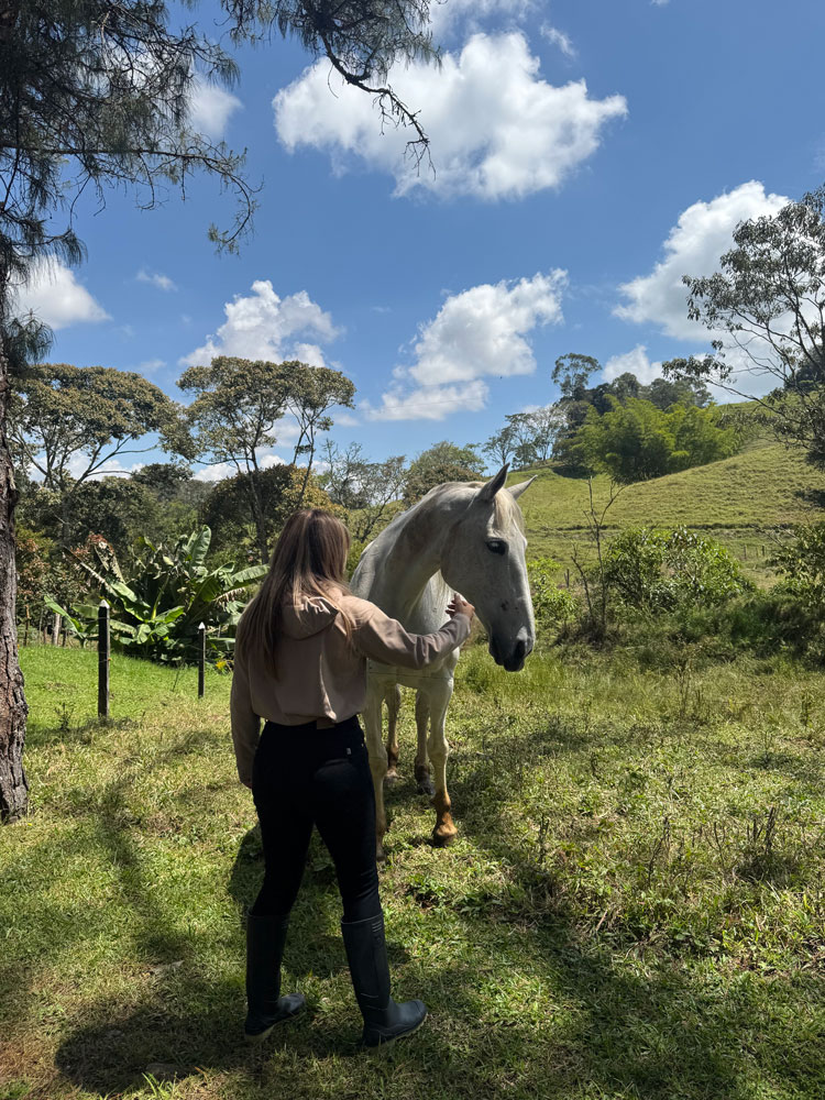 Horsepower Colombia experience