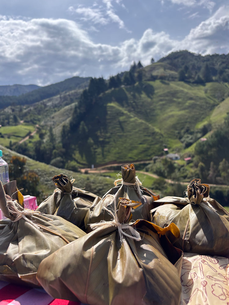 Horsepower Colombia experience