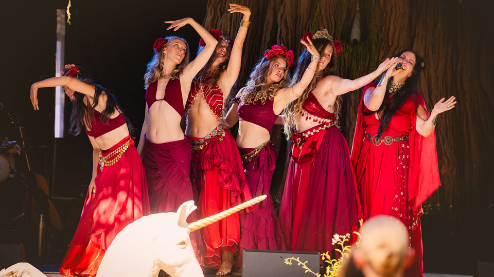 Medicine Festival transforms the Berkshire woodland into a temporary village of music, creativity, culture and connection.