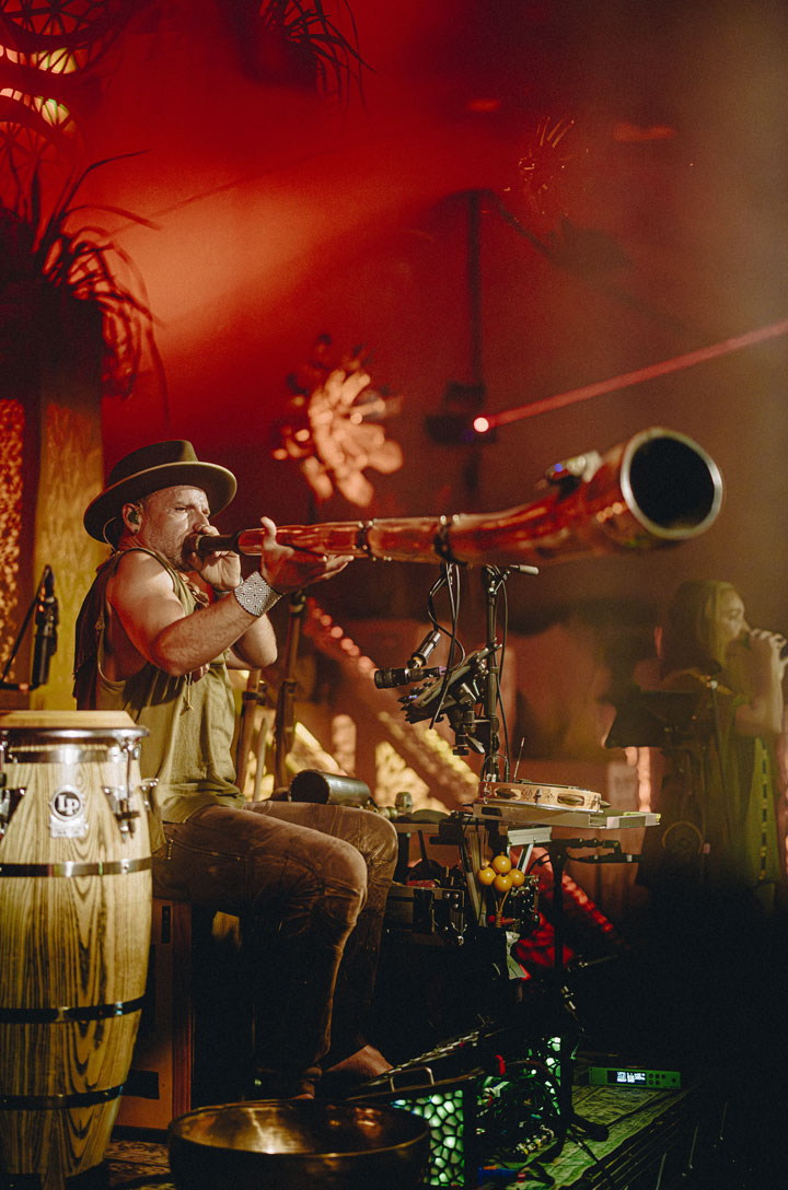 Medicine Festival becomes a meeting place for cultures, traditions and different ways of understanding our relationship with the living world.
