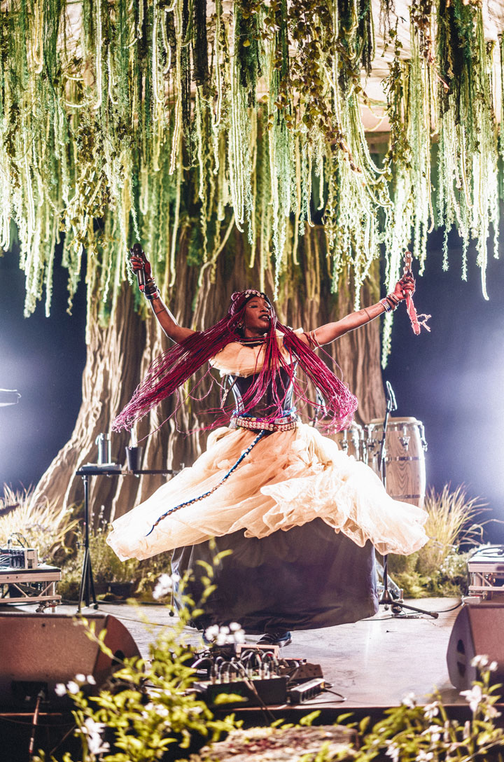 Medicine Festival becomes a meeting place for cultures, traditions and different ways of understanding our relationship with the living world.
