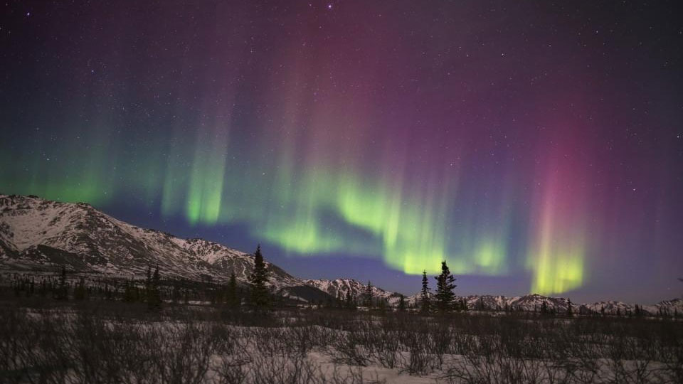 Denali National Park's vast wilderness and exceptionally dark skies offer remarkable conditions for aurora viewing. Photo: posterazzi.com