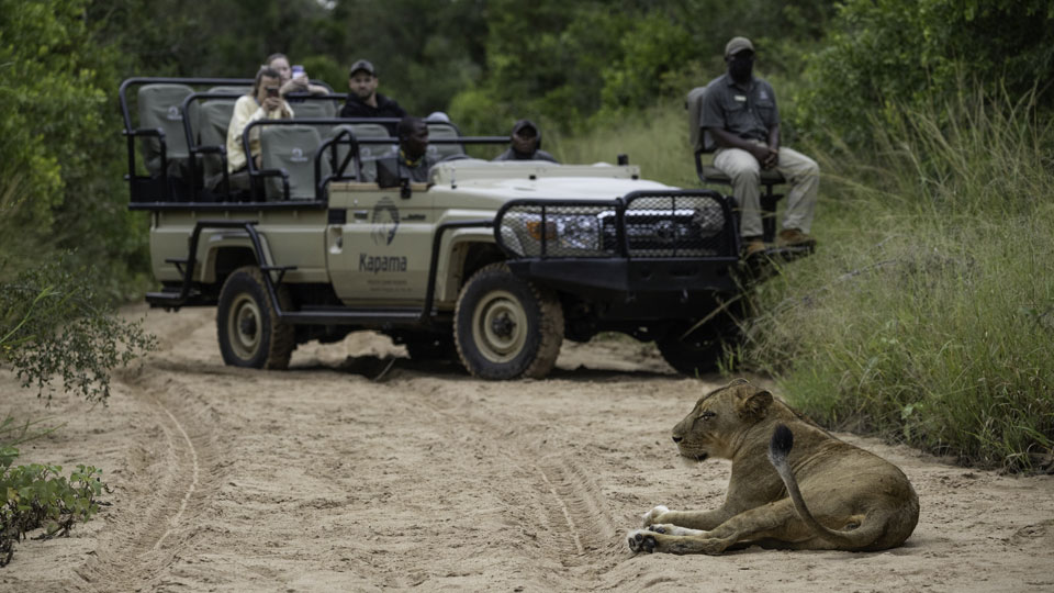 Safari-Experience10