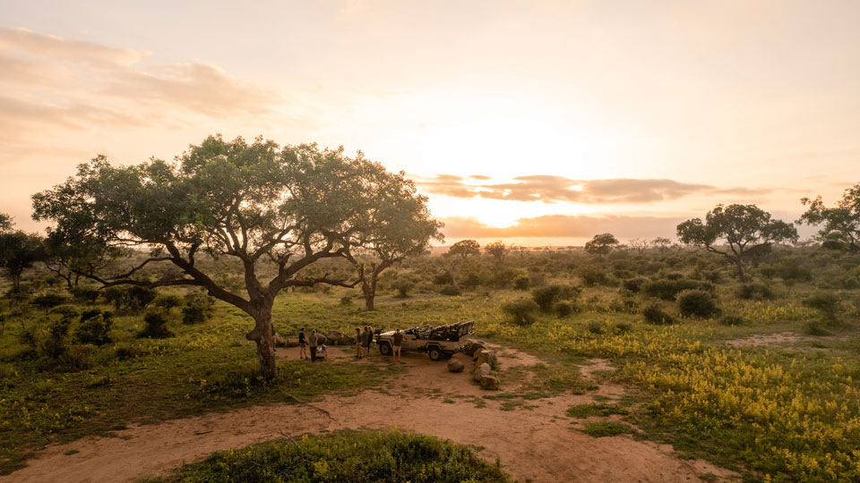 The African wilderness sets the stage for Spotlight: South Africa.