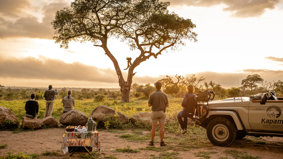 Safari-Experience4
